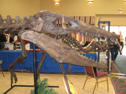 Dinosaur Exhibit Room