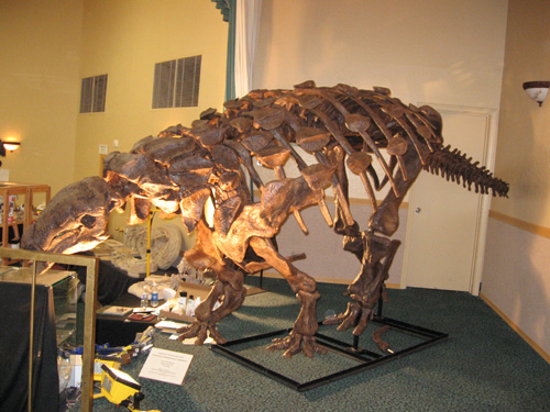 Dinosaur Exhibit Room