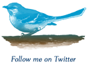 Join me on Twitter